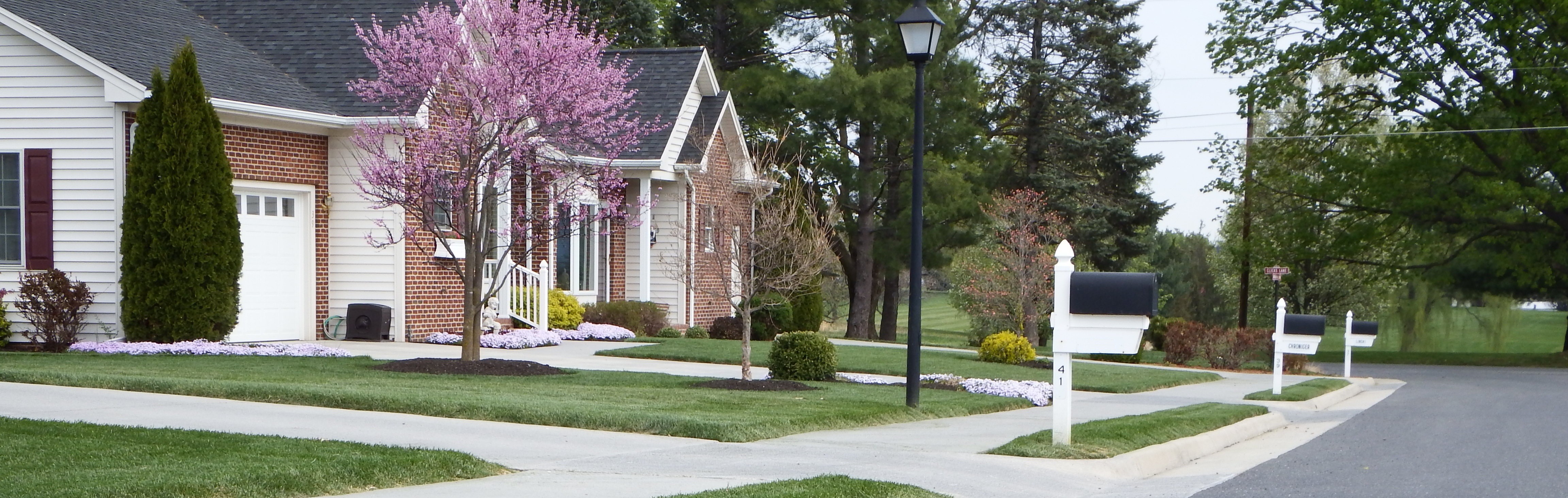 Planning & Zoning New Market VA