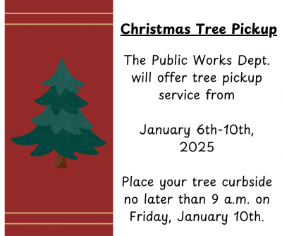 christmas tree pick up service infograph