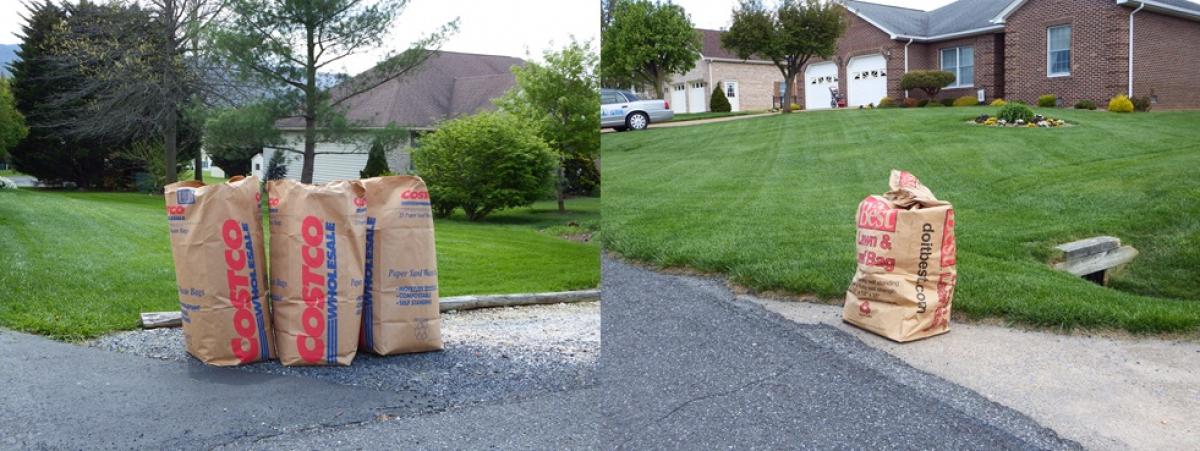 Leaf bags at the curb 