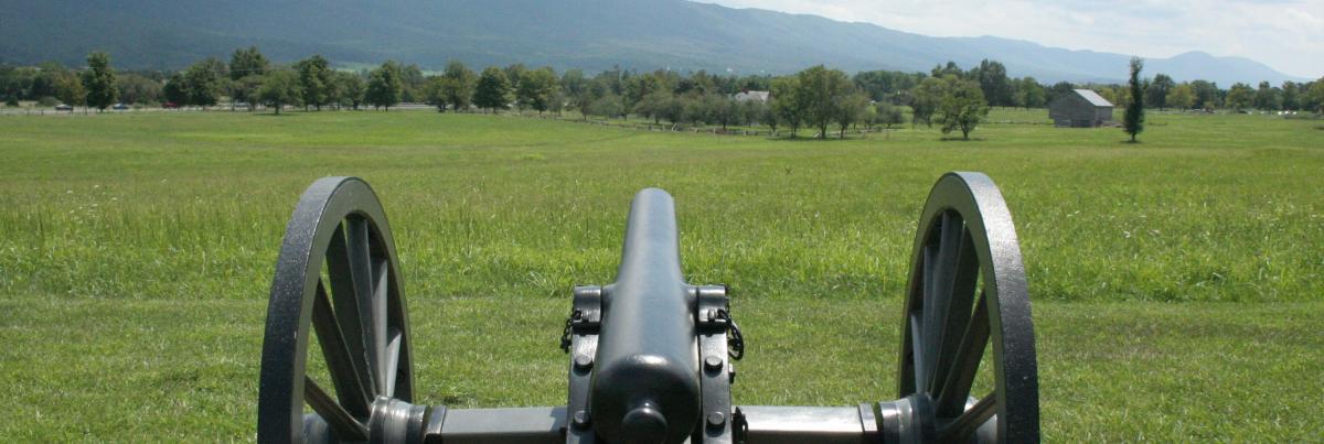 Cannon in field