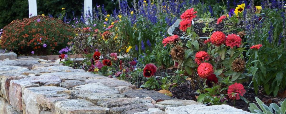 Flowers in a Garden