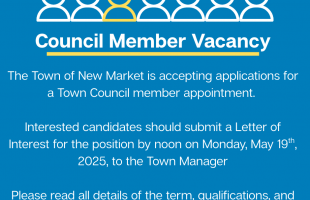 Council Member Vacancy infograph