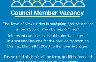 Graphic describing the Council Vacancy and how to apply